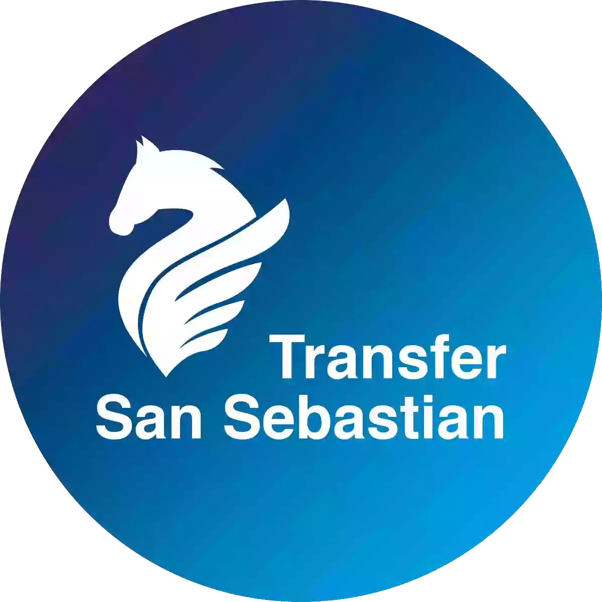 Transfer San Sebastian