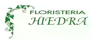 FLORISTERIA HIEDRA