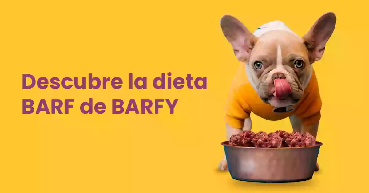 Dieta Barf | Comida Barf Perros | BARFY