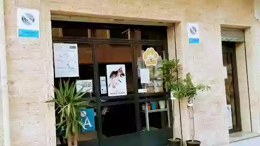 PIENSOS Y PELUQUERÍA CANINA MIRASOL