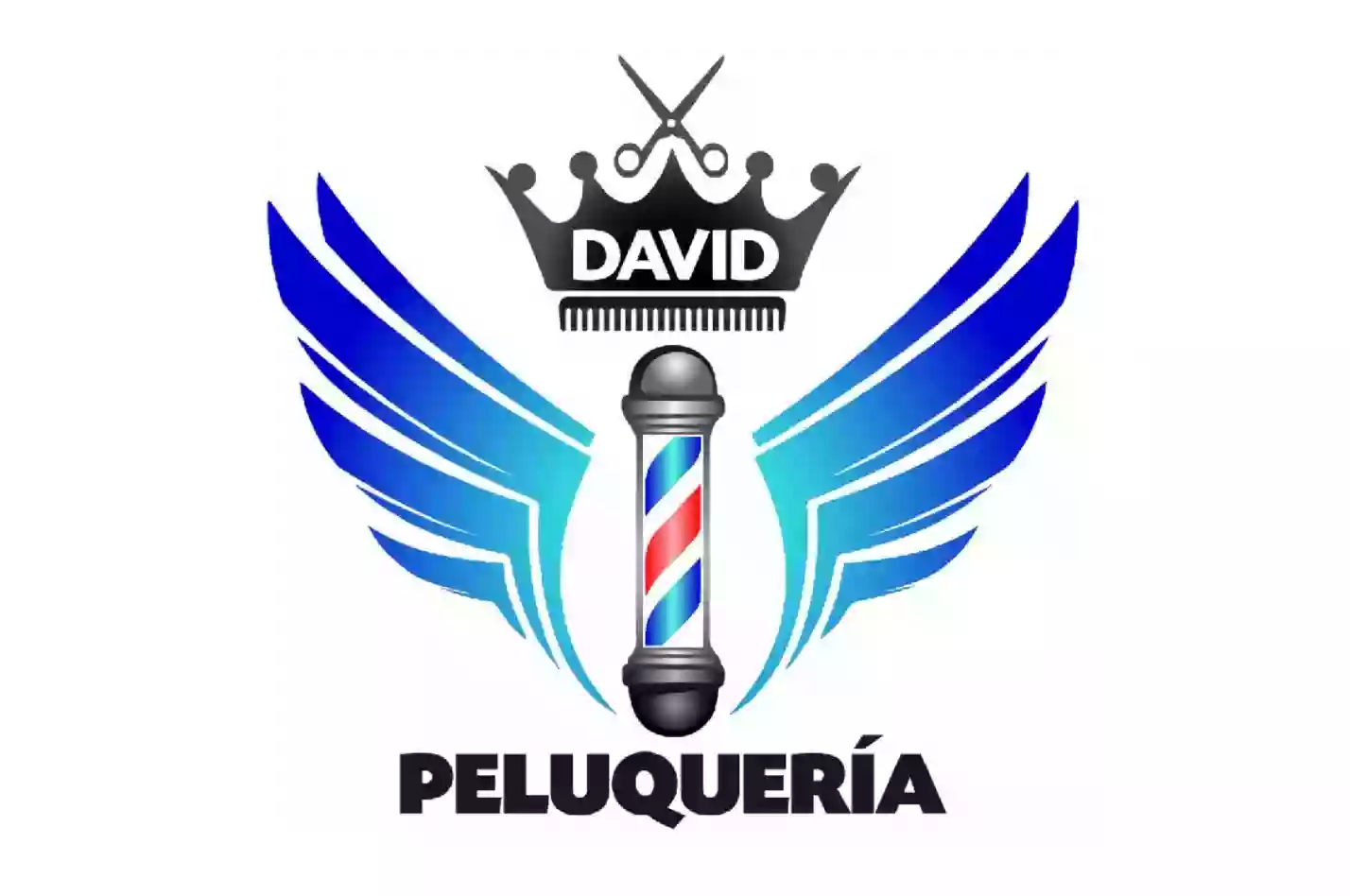 Peluqueria de Caballeros David