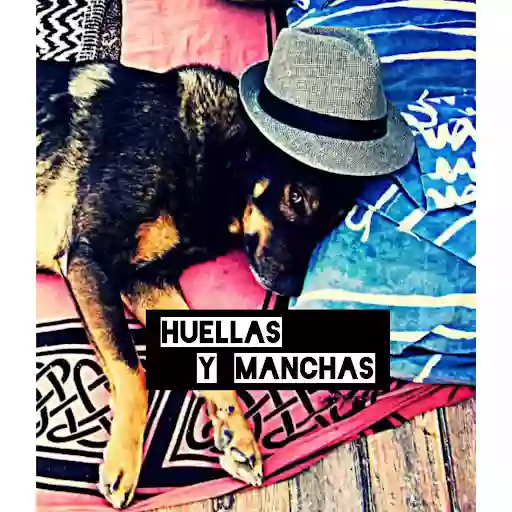 Huellas y Manchas Guardería Canina, Hotel, Adiestramiento