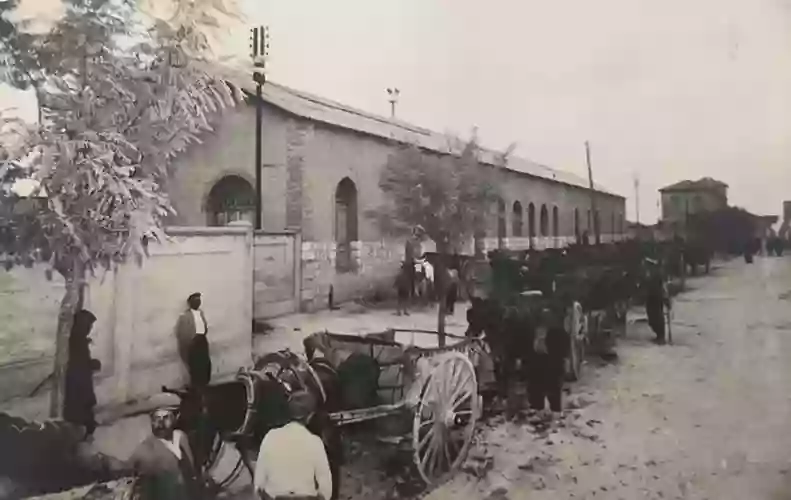 Cooperativa Agrícola de Utiel, Coop. V