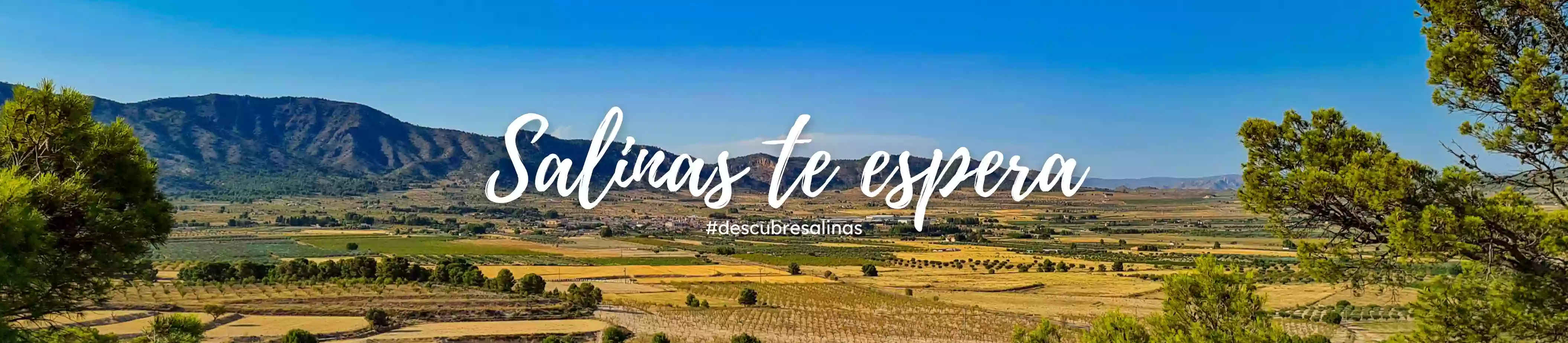 Descubre Salinas