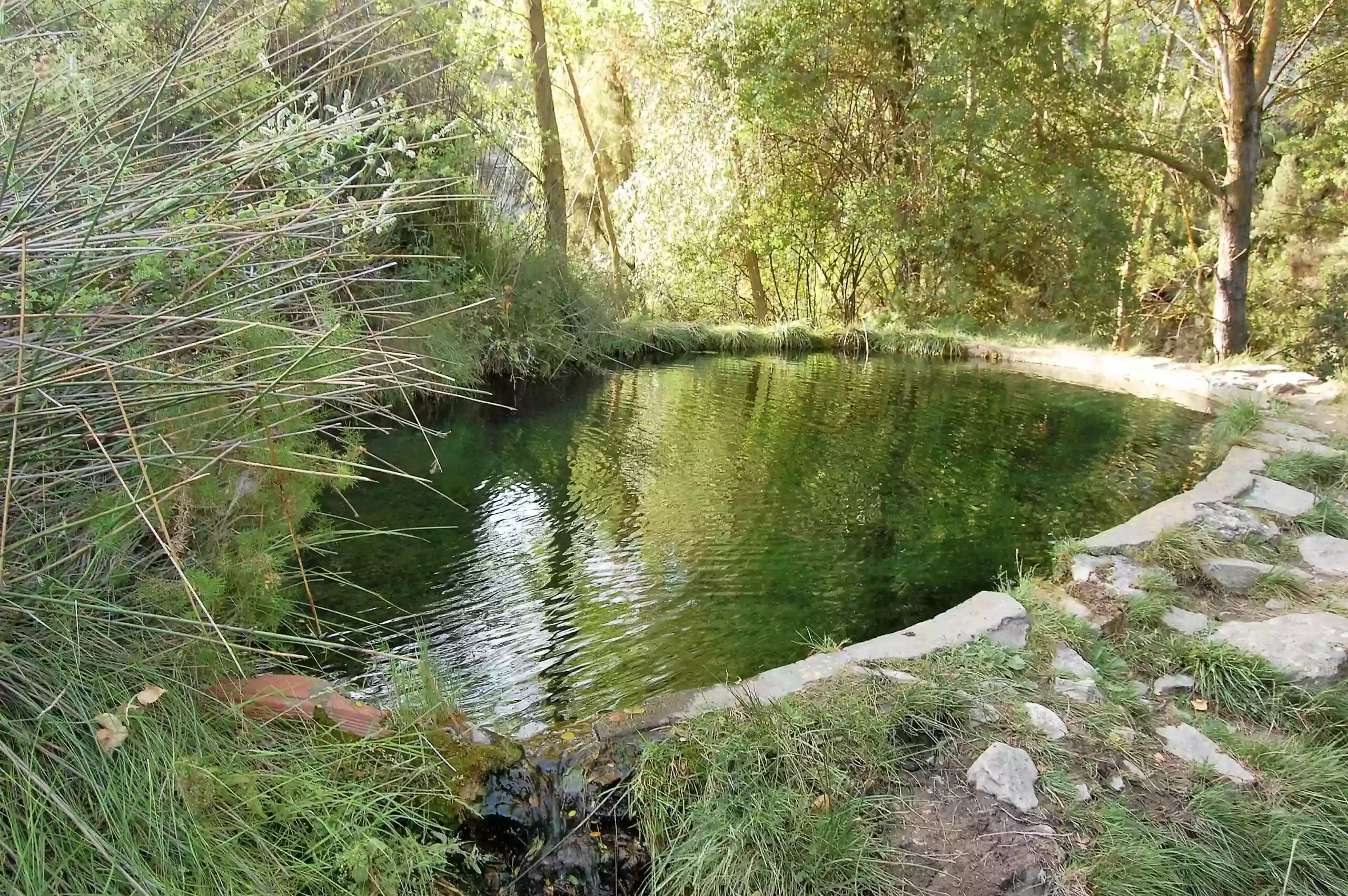 Sendero botànic