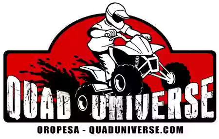 Quad Universe