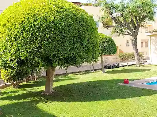 Santi Álamo JARDINERÍA y PISCINAS