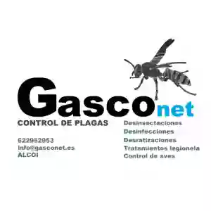 Gasconet Control de Plagas Alcoy