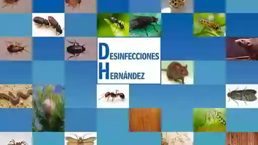 Desinfecciones Hernández