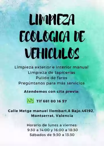 Renet lavadero de coches