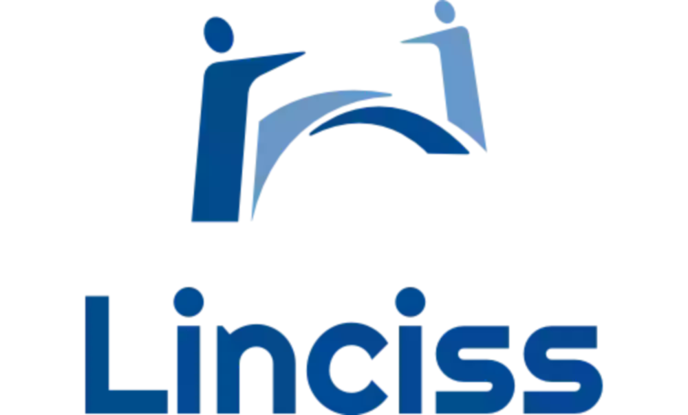 Grupo Linciss