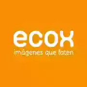 Ecox 4D - 5D Elche - Especialistas en ecografías 4D y 5D