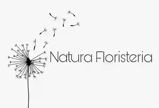 Natura floristeria - Leticia Pérez Paredes