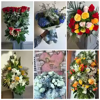 Floristería Decoflor Puzol