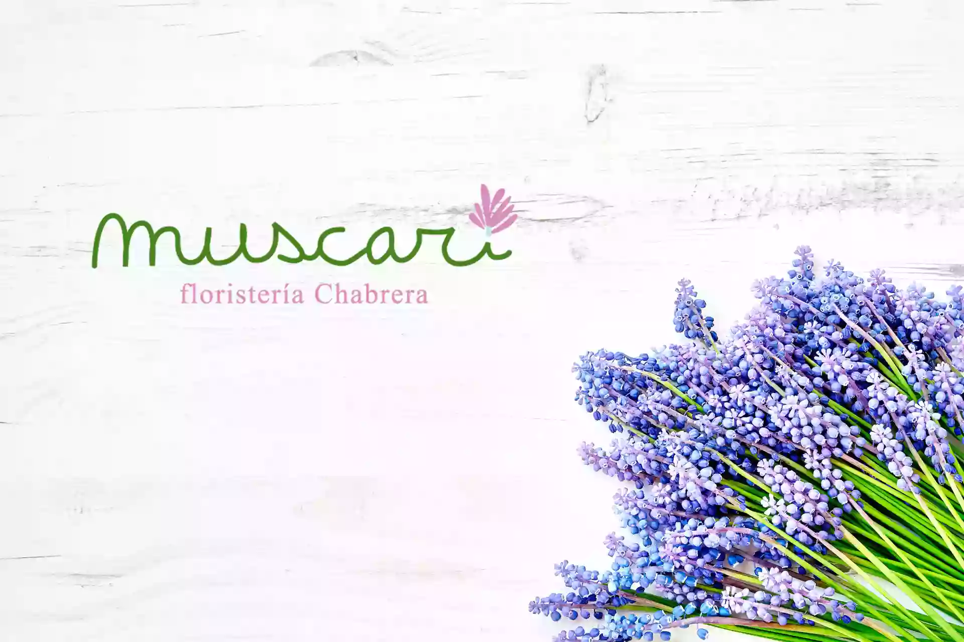 MUSCARI FLORISTERIA CHABRERA