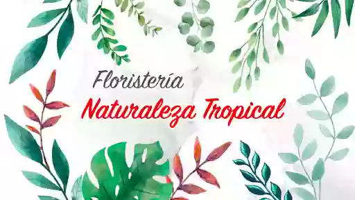 Floristería Naturaleza Tropical