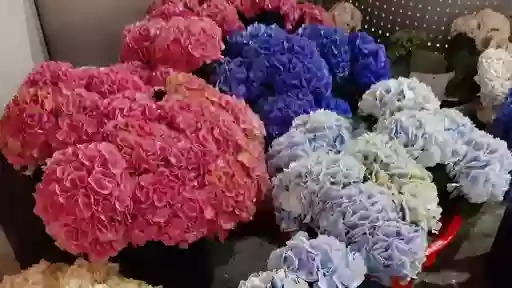 Оптово-розничный склад цветов "7 роз"