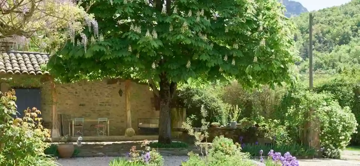 La Cour du Marronnier chambres d'hôtes et gîtes en Drôme provençale