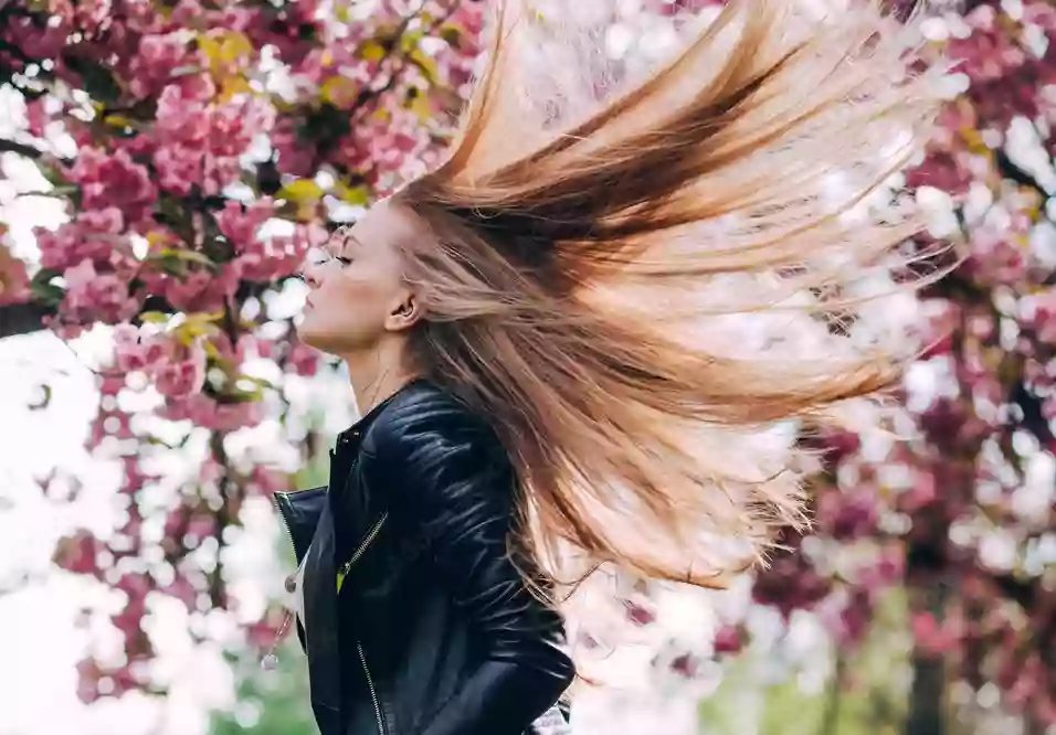 Le Jardin De La Coiffure by Sabrina