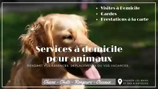animaux services 74