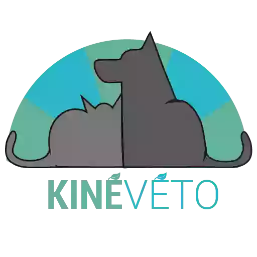 Kineveto