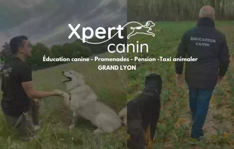 Xpert Canin - Educateur Comportementaliste Canin