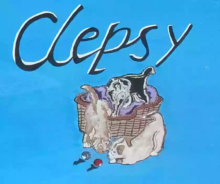Clepsy