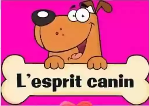 L'Esprit Canin Toilettage et Pension de Chien