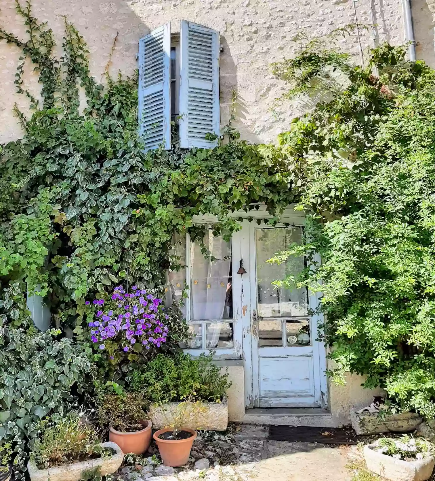 Gîtes de Bonsejour, Verhuur vakantiehuizen, Auvergne