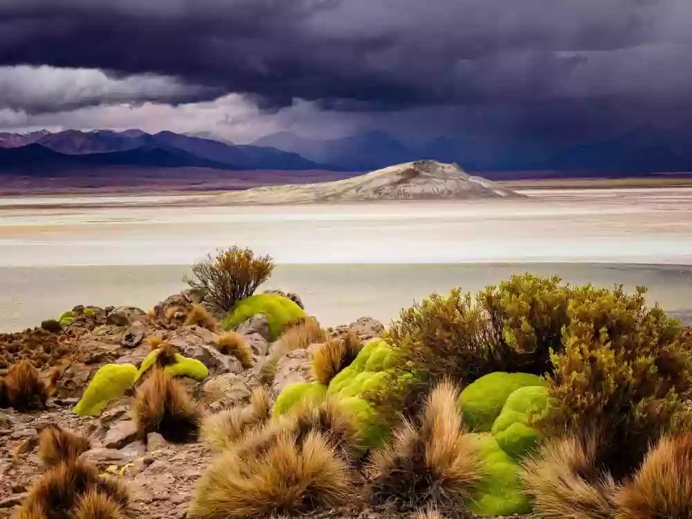 Terres Oubliées