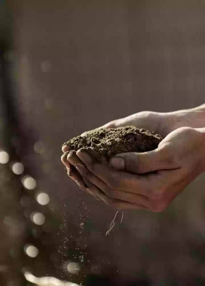 Nature With Us pour un jardin au plus proche de la nature