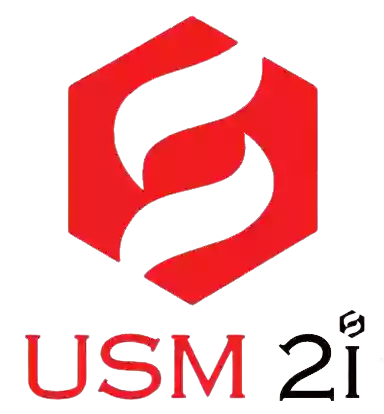 USM2i