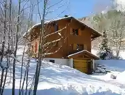 Chalet sous la Terche