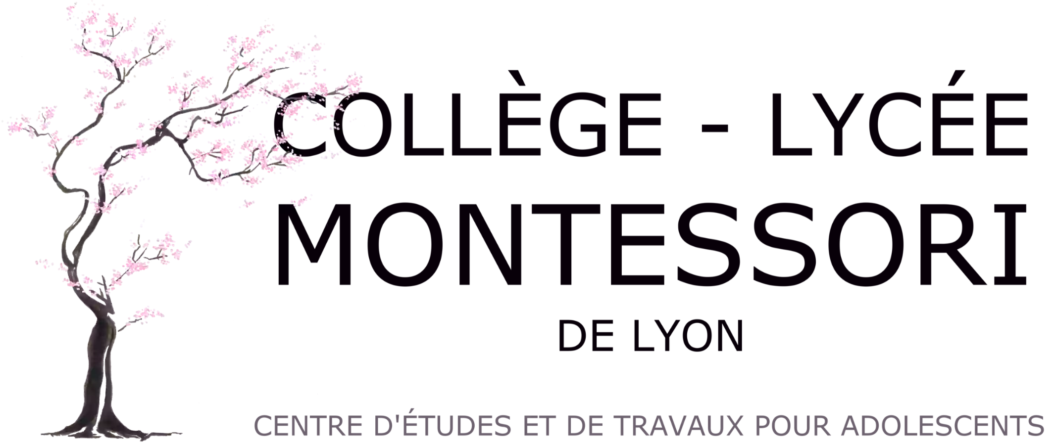 Centre d'Etudes et Travaux Montessori