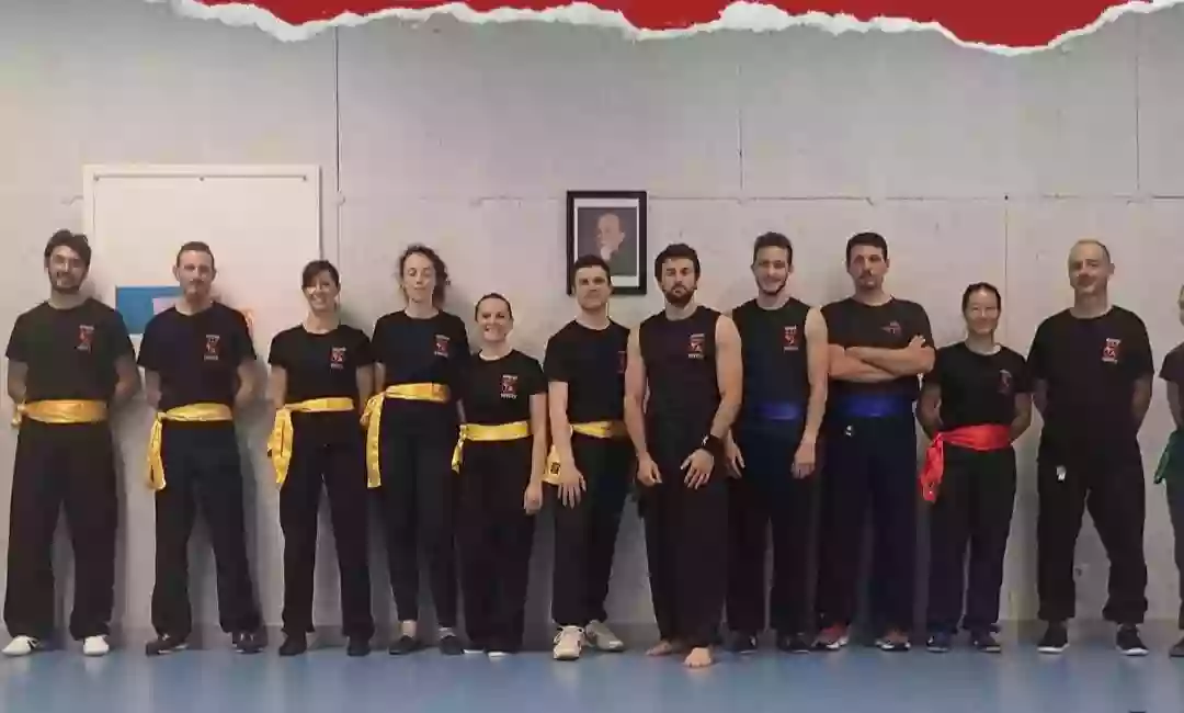 HungSing Kung-Fu Club Lyon