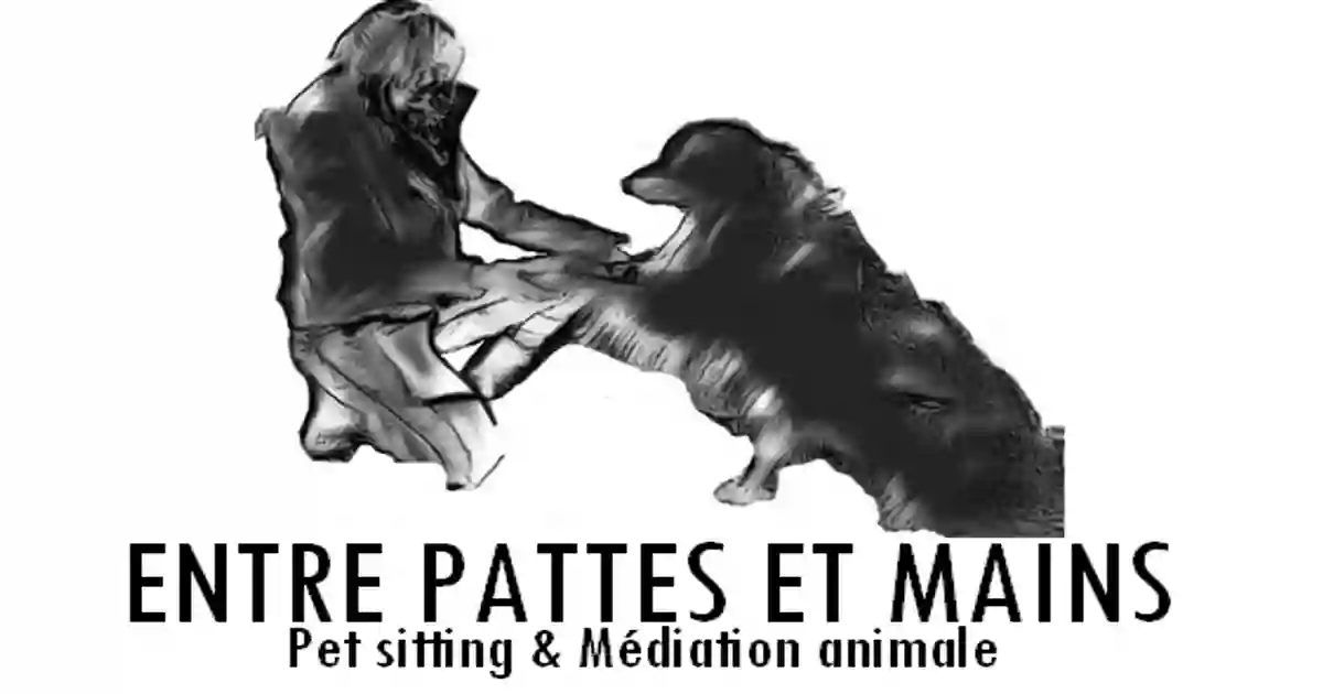 Entre pattes et mains