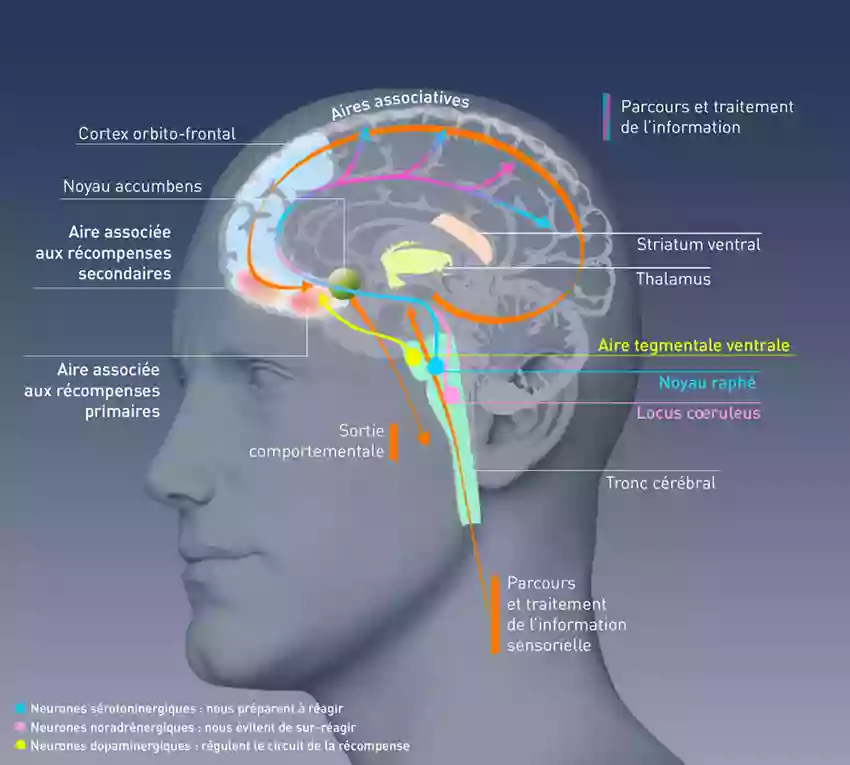 Cabinet d'Hypnothérapie - Psychothérapie - Psychotraumatologie - Psychopathologie - Addictologie - Service de Santé Mentale