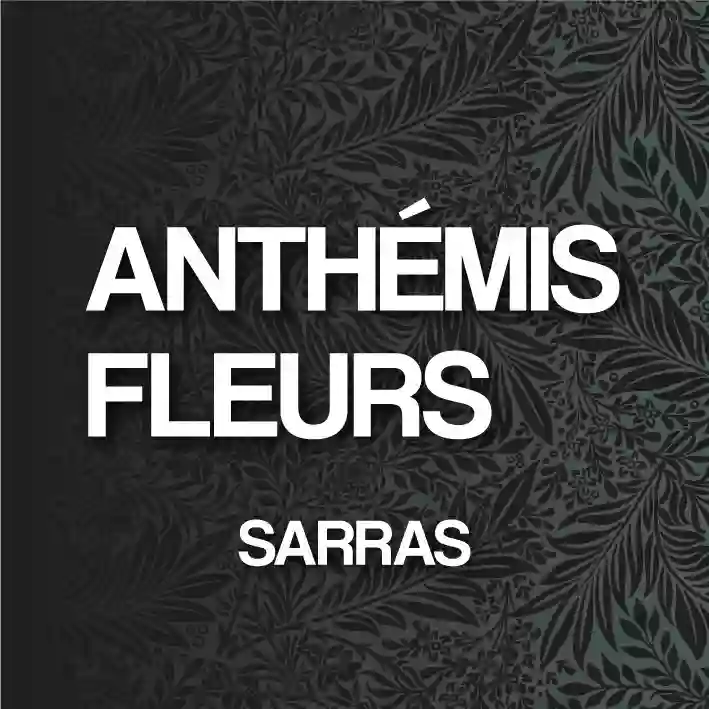 Anthémis Fleurs - Sarras