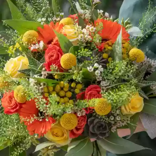 Les Floralies, Artisan Fleuriste