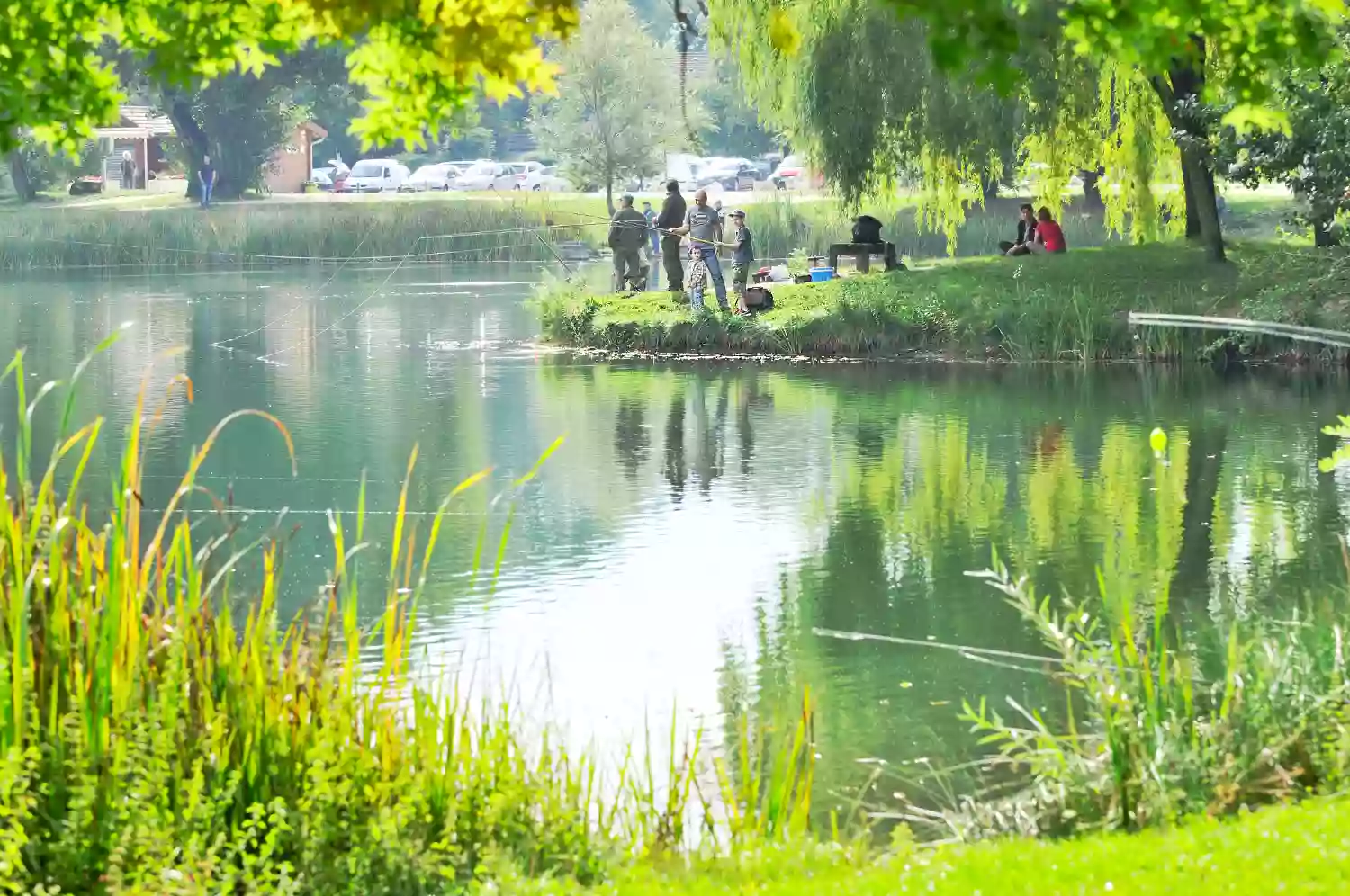 Parc de l'Ovalie