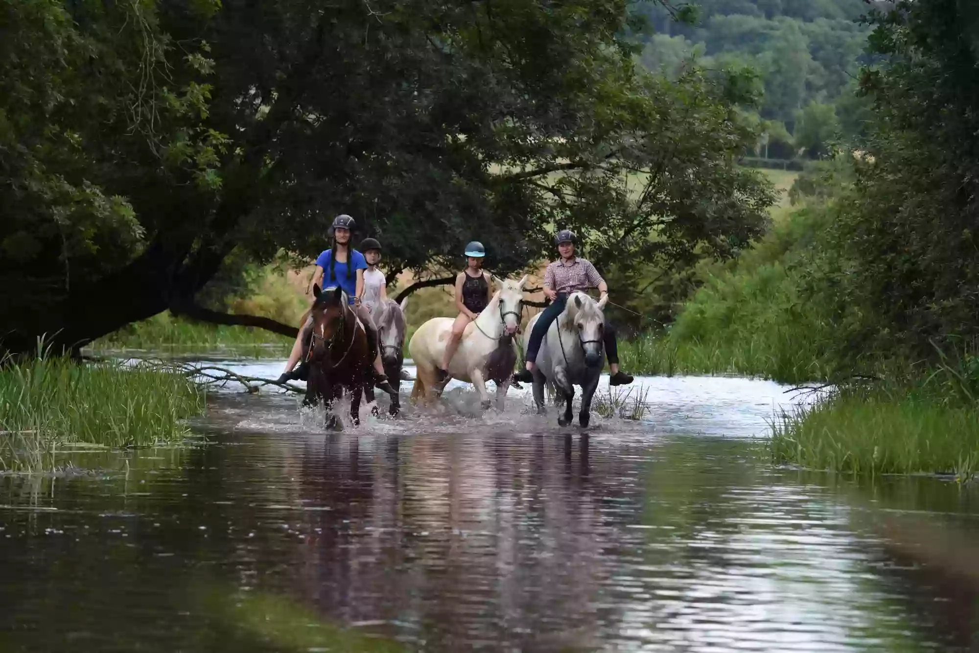 Ferme équestre de St-Laurent - Équitation- randonnées-formation