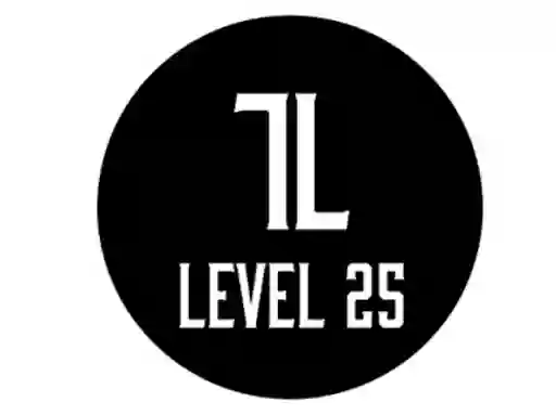 Level 25