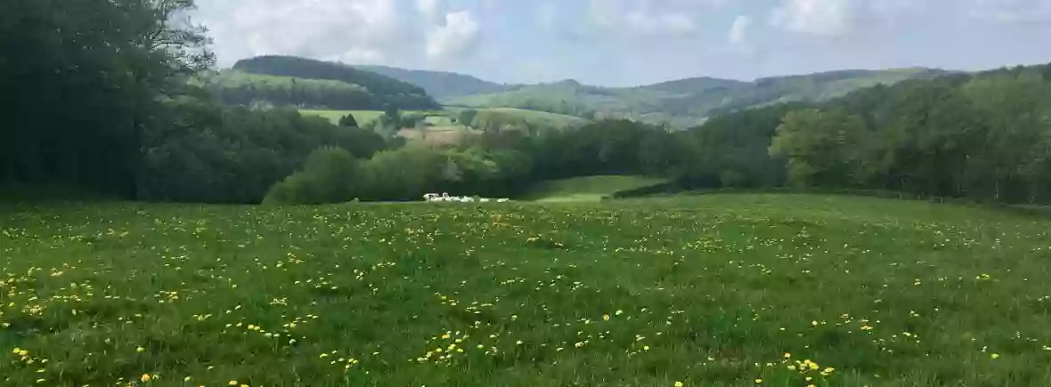 La Corne au Cerf - Hébergement au Lac Des Settons