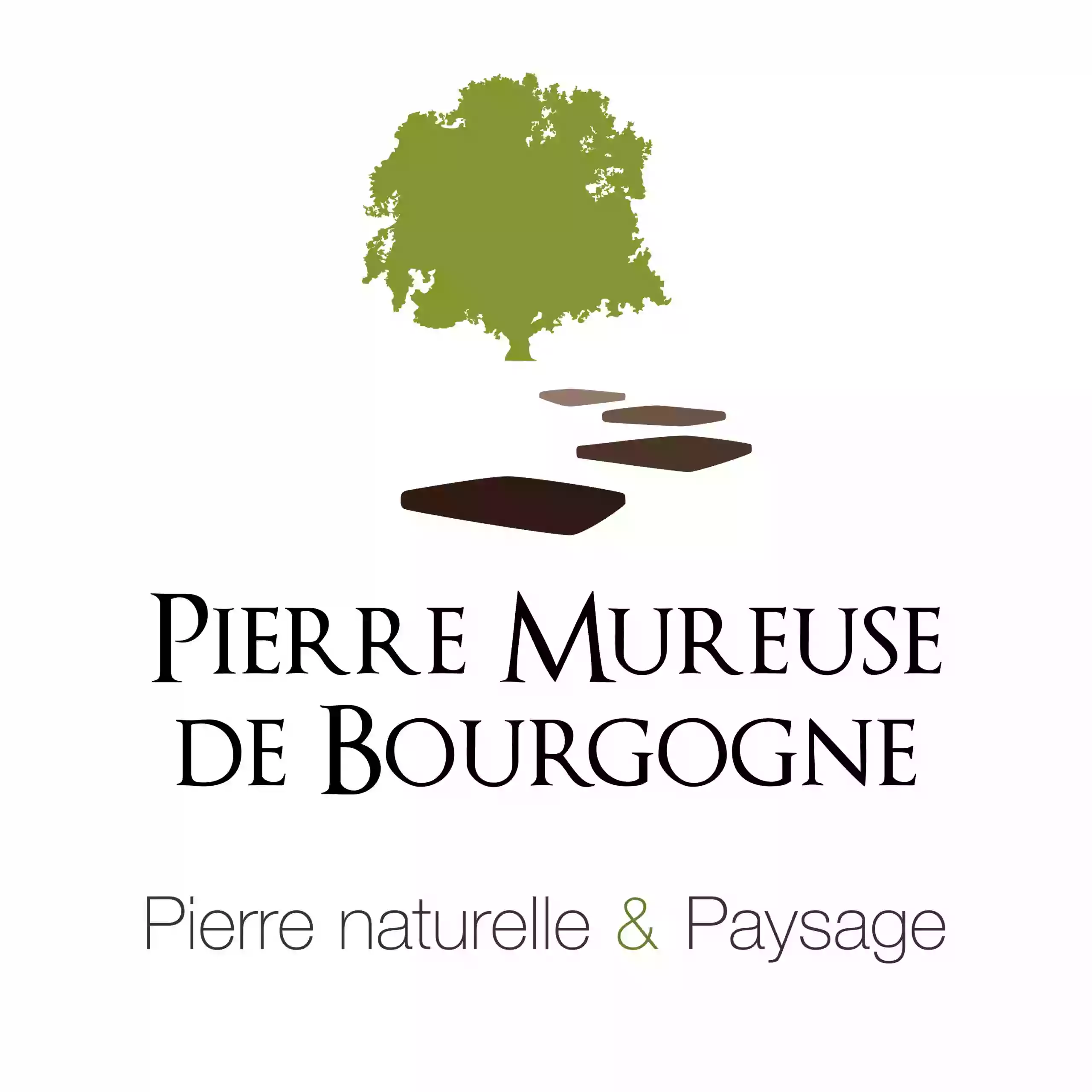 Pierre Mureuse de Bourgogne