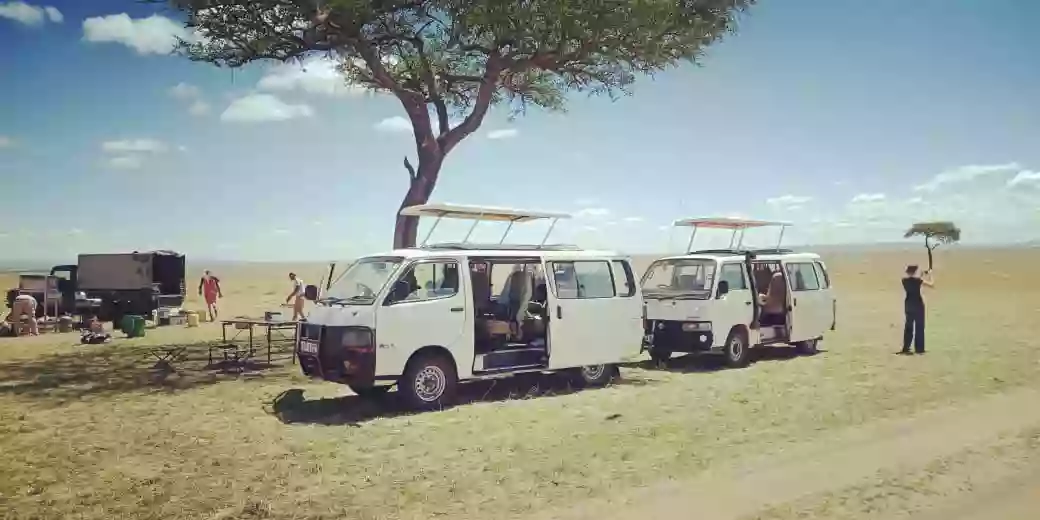 Sunday Best Safaris