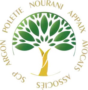 SCP ARGON-POLETTE-NOURANI-APPAIX-AVOCATS ASSOCIES