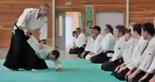 Aikido Dole