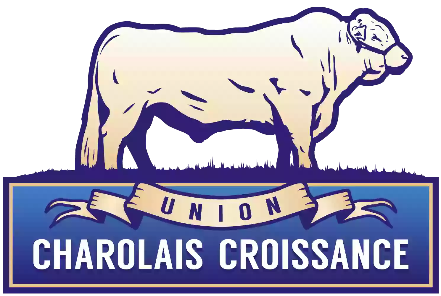 Union Charolais Croissance