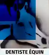 Dentiste équin Flatry Caroline