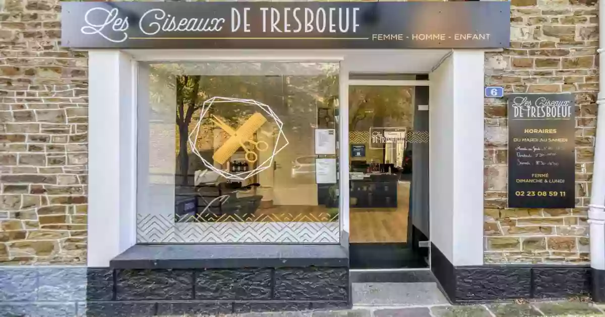 Les ciseaux de tresboeuf